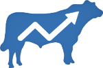 Bull logo in Chapelton colours with upward trending graph